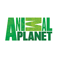 Animal Planet HD